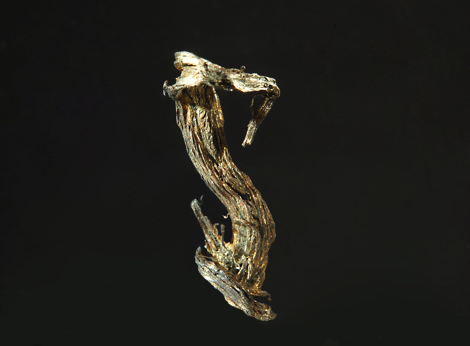 Silver
1.0 x 2.2 cm
(Autor: Michael Shaw)