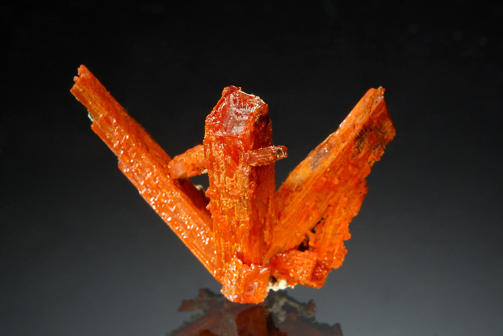 Crocoite
2.3 x 2.9 cm
(Autor: Michael Shaw)