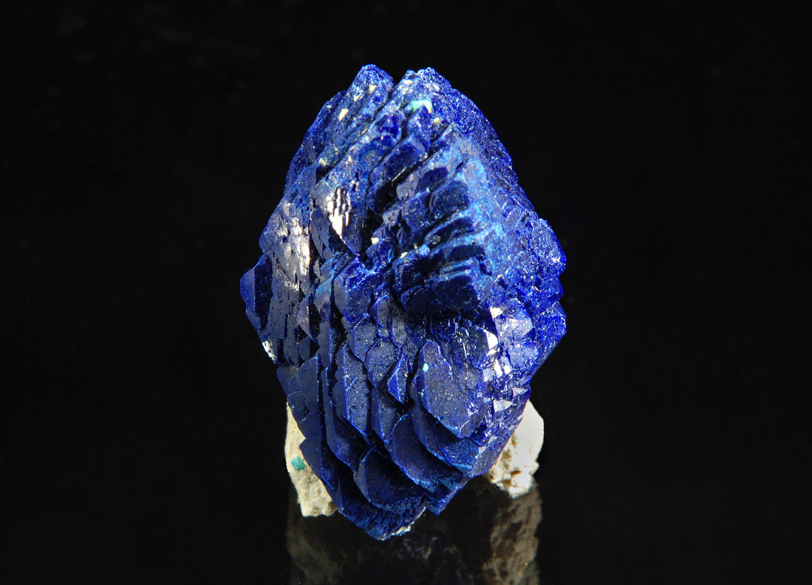 Azurite
1.8 x 3.0 cm
(Autor: Michael Shaw)