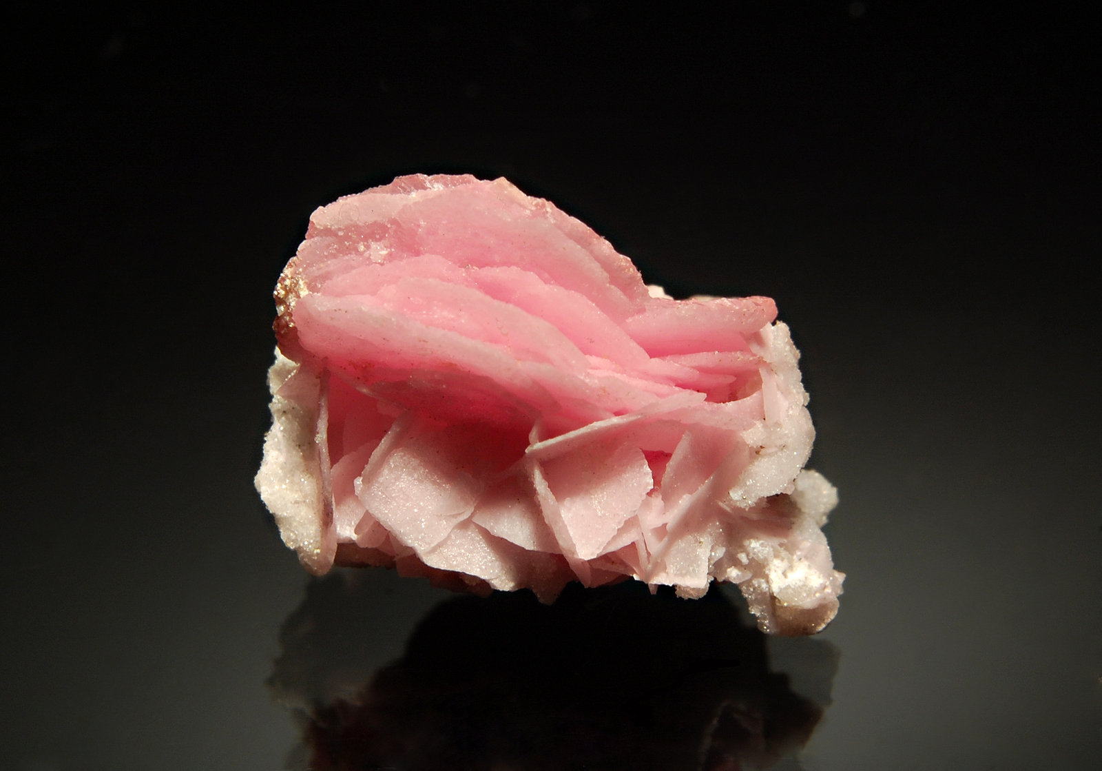 Rhodochrosite
1.4 x 1.9 cm
(Autor: Michael Shaw)