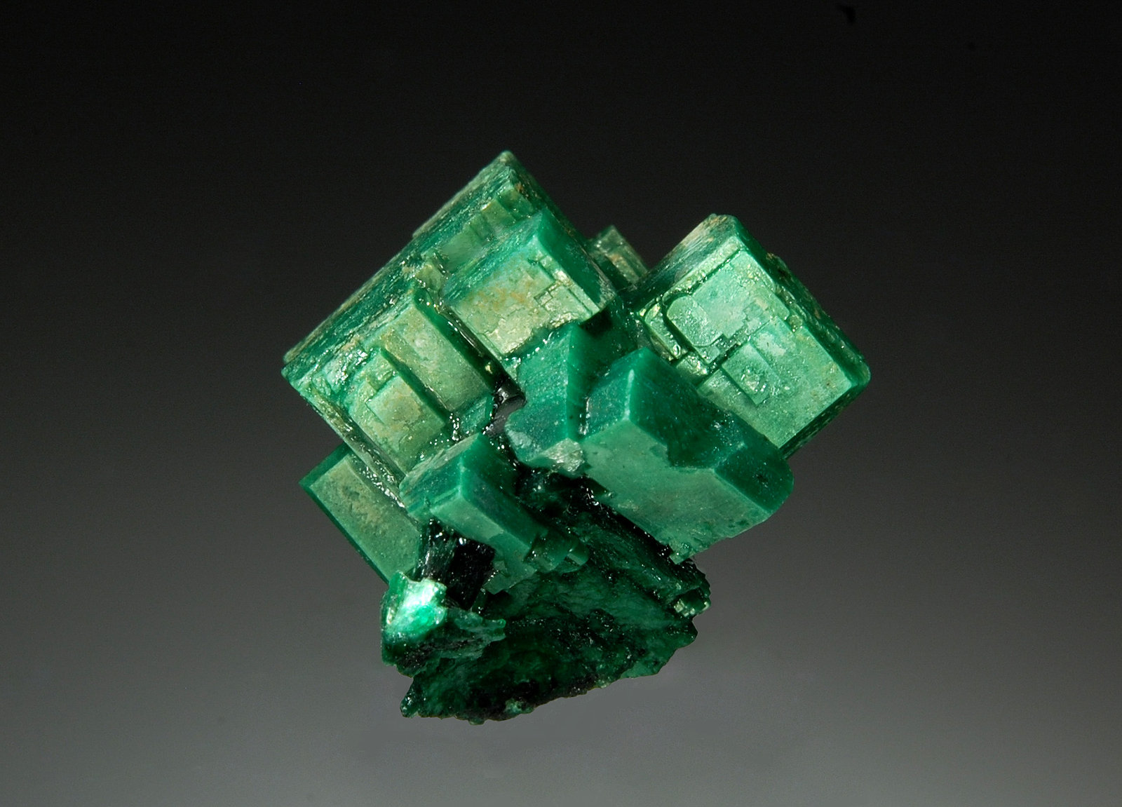 Metatorbernite
1.8 x 1.8 cm
(Autor: Michael Shaw)