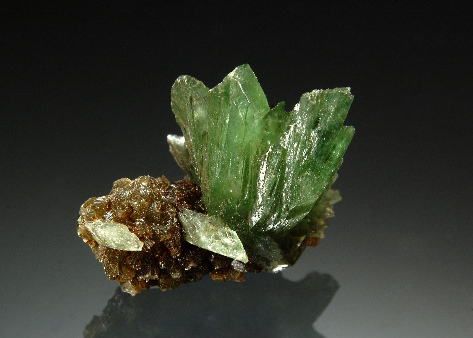 Ludlamite
1.4 x 1.5 cm
(Autor: Michael Shaw)