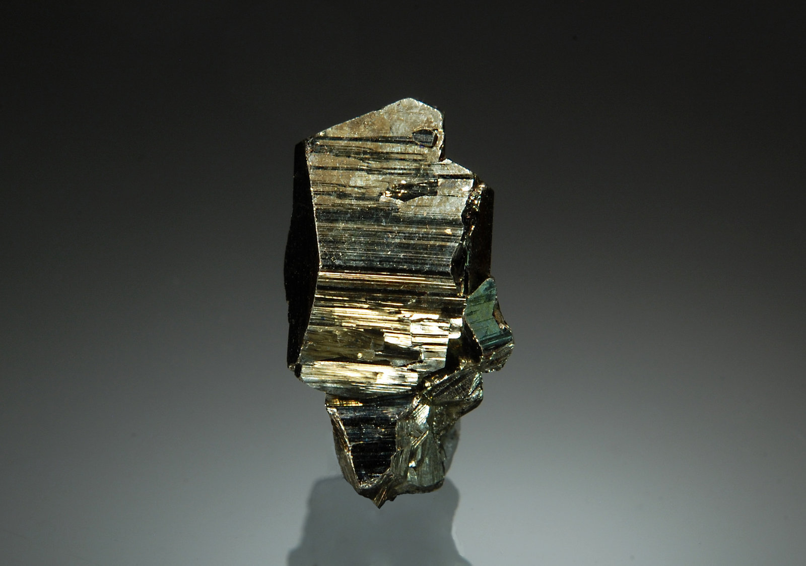 Pyrite
1.1 x 2.0 cm
(Autor: Michael Shaw)