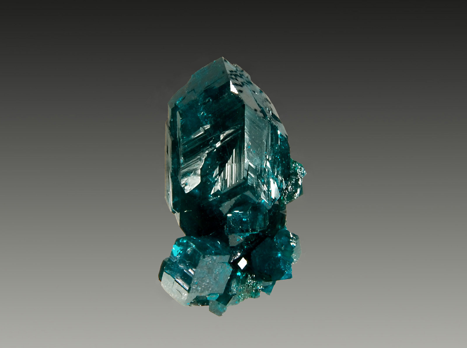 Dioptase
1.2 x 2.3 cm
(Autor: Michael Shaw)