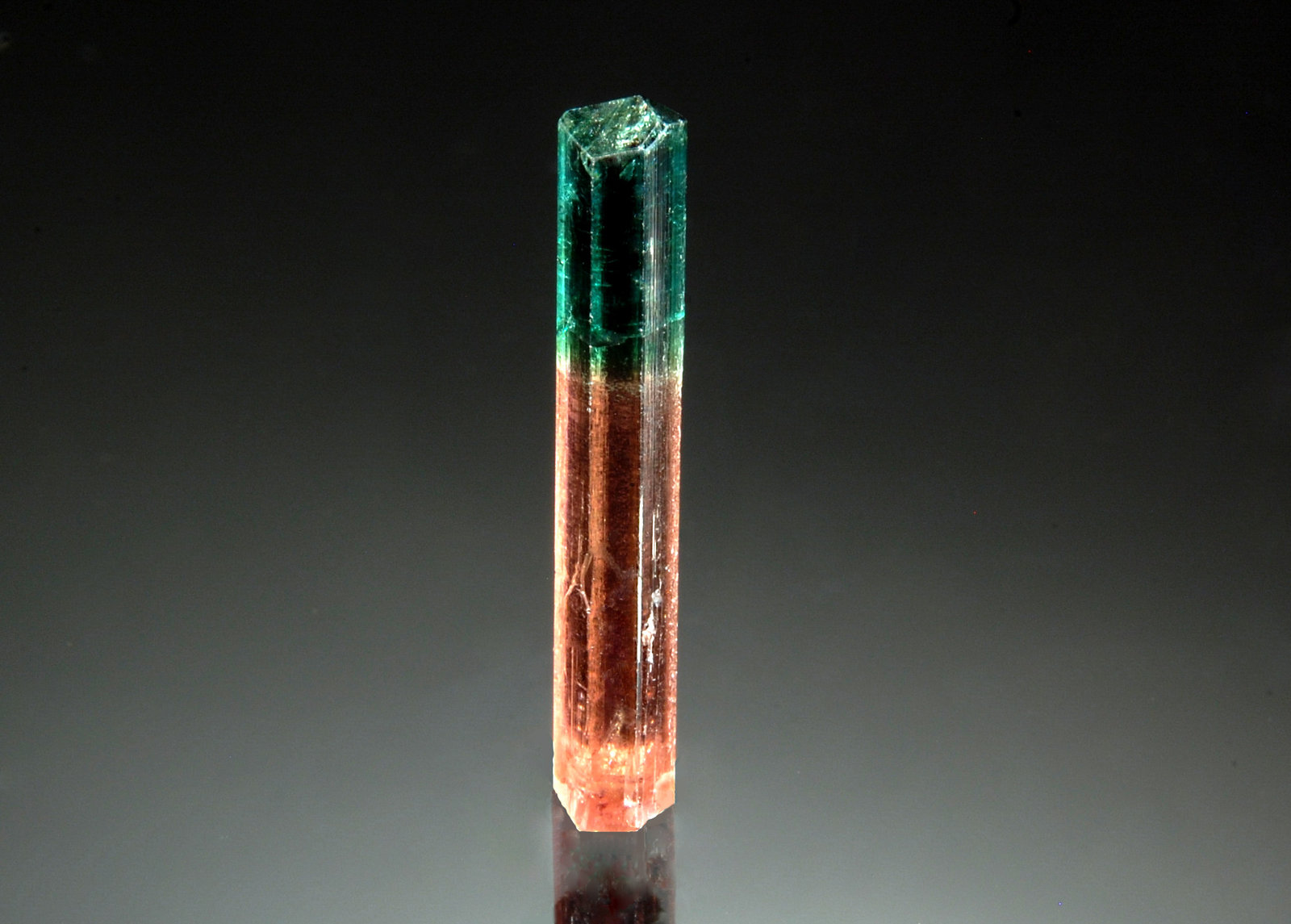 Elbaite
0.5 x 2.6 cm
(Autor: Michael Shaw)