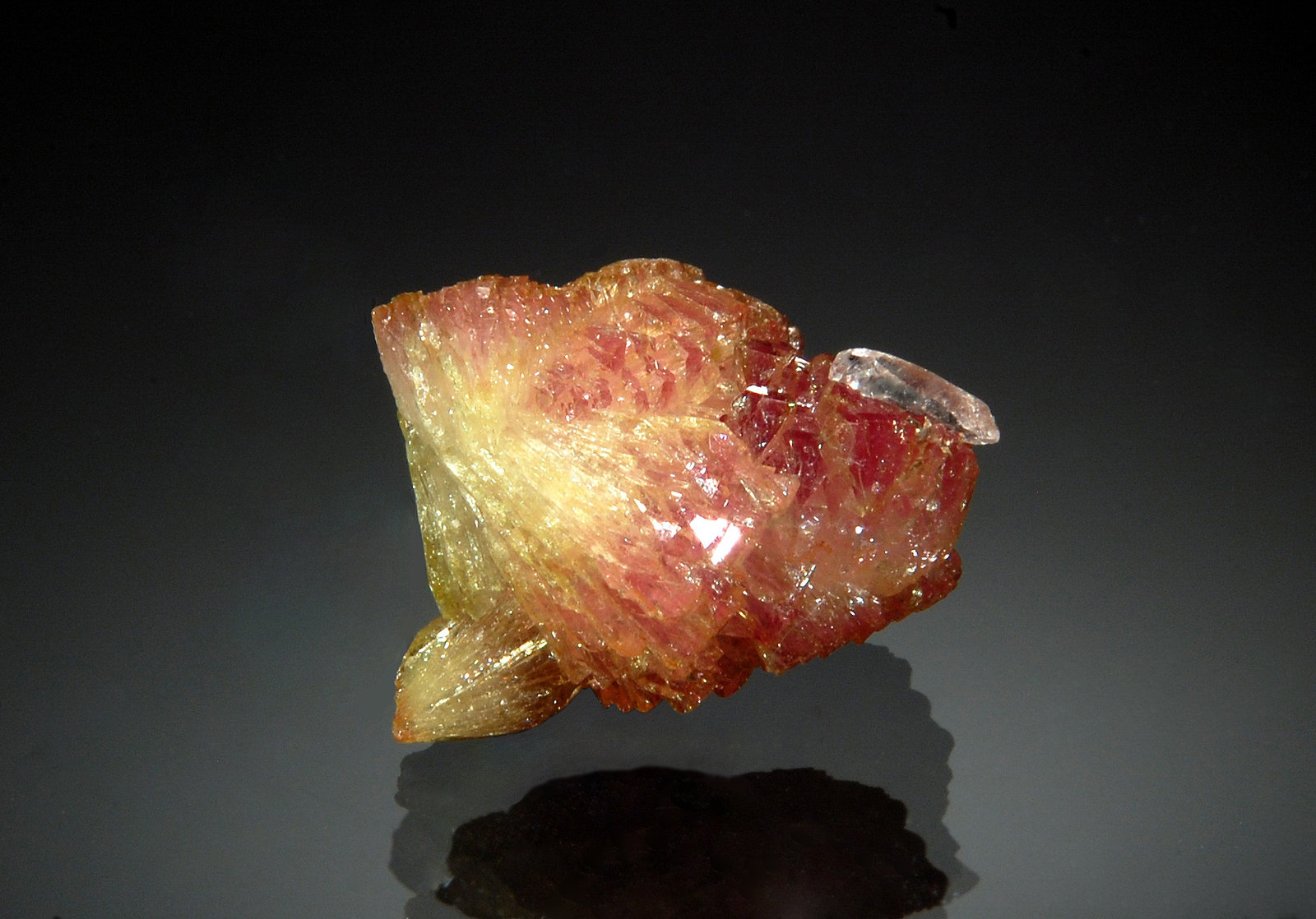 Adamite
1.5 x 1.9 cm
(Autor: Michael Shaw)
