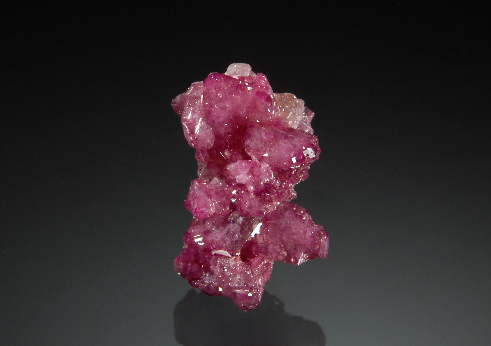 Vesuvianite
1.2 x 2.0 cm
(Autor: Michael Shaw)