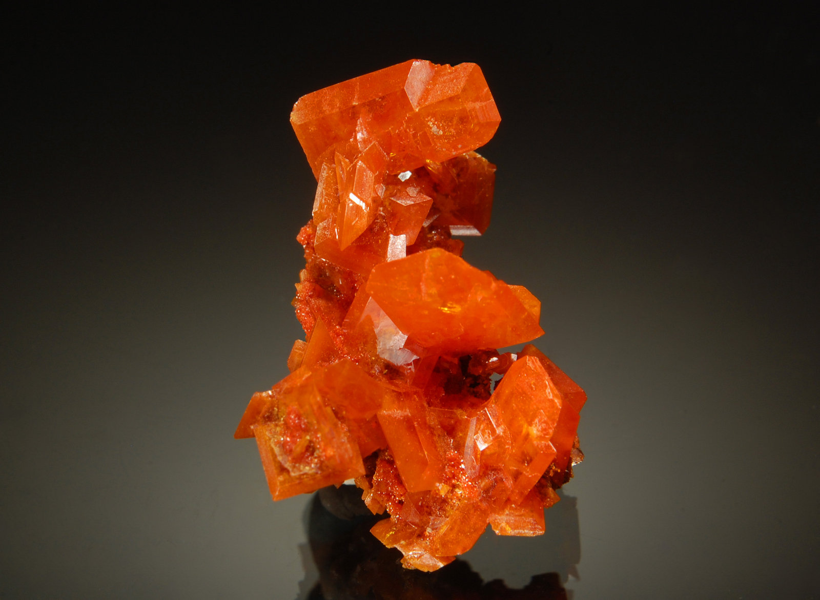 Wulfenite
2.2 cm
(Autor: Michael Shaw)