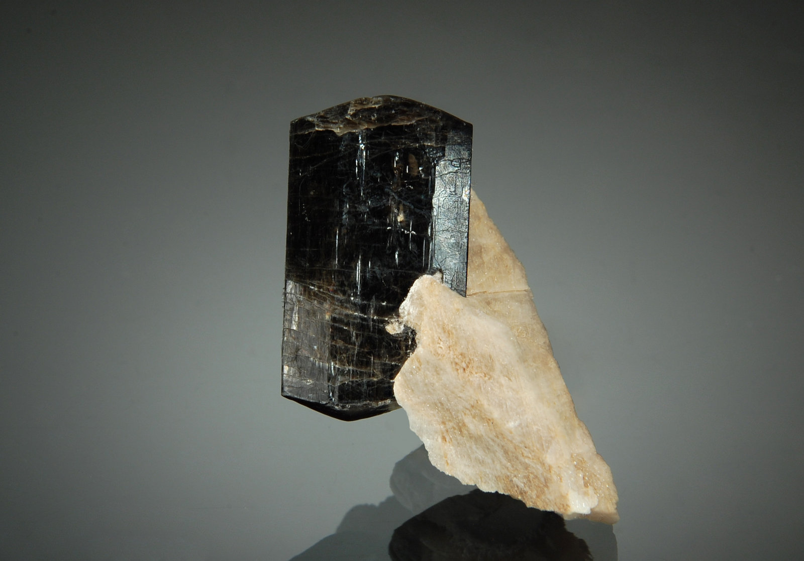 Fluoro-richterite
2.0 x 2.5 cm
(Autor: Michael Shaw)