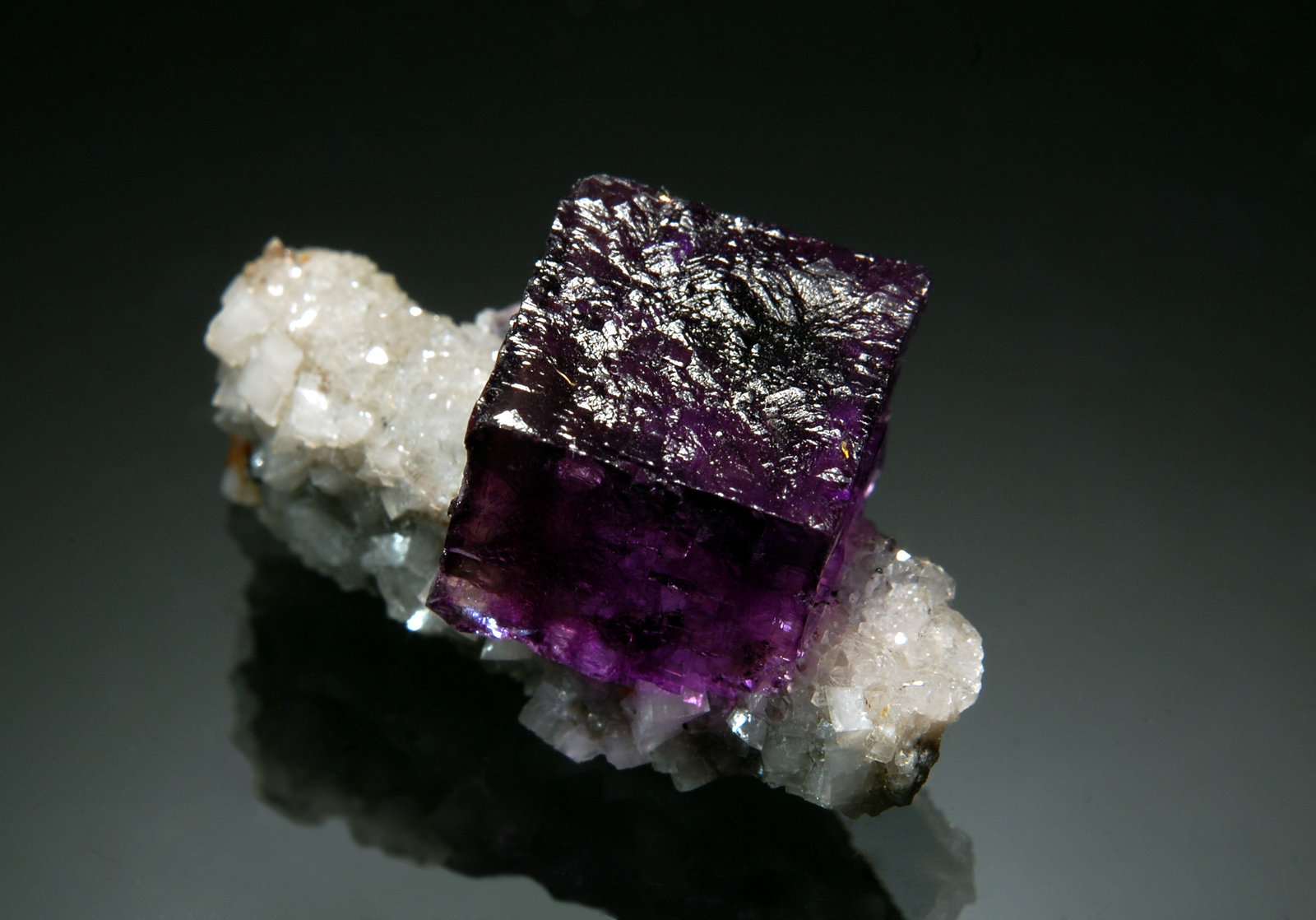 Fluorite
1.7 x 3.0 cm
(Autor: Michael Shaw)