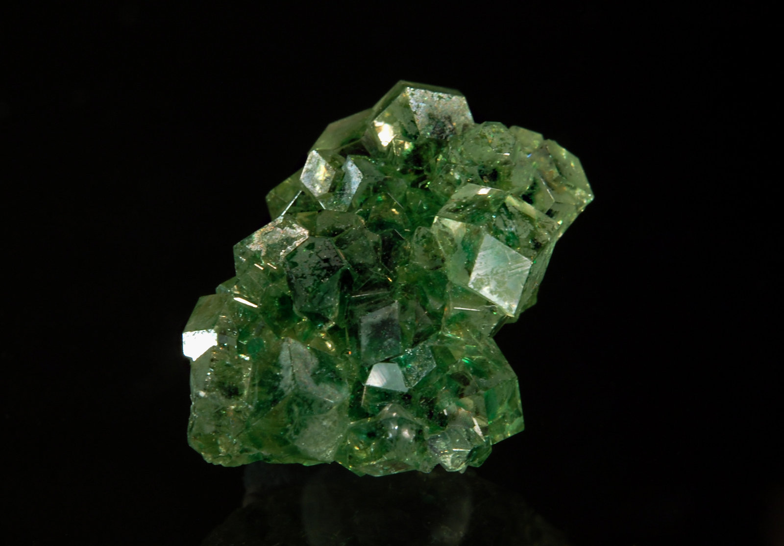 Grossular
1.3 x 2.0 cm
(Autor: Michael Shaw)