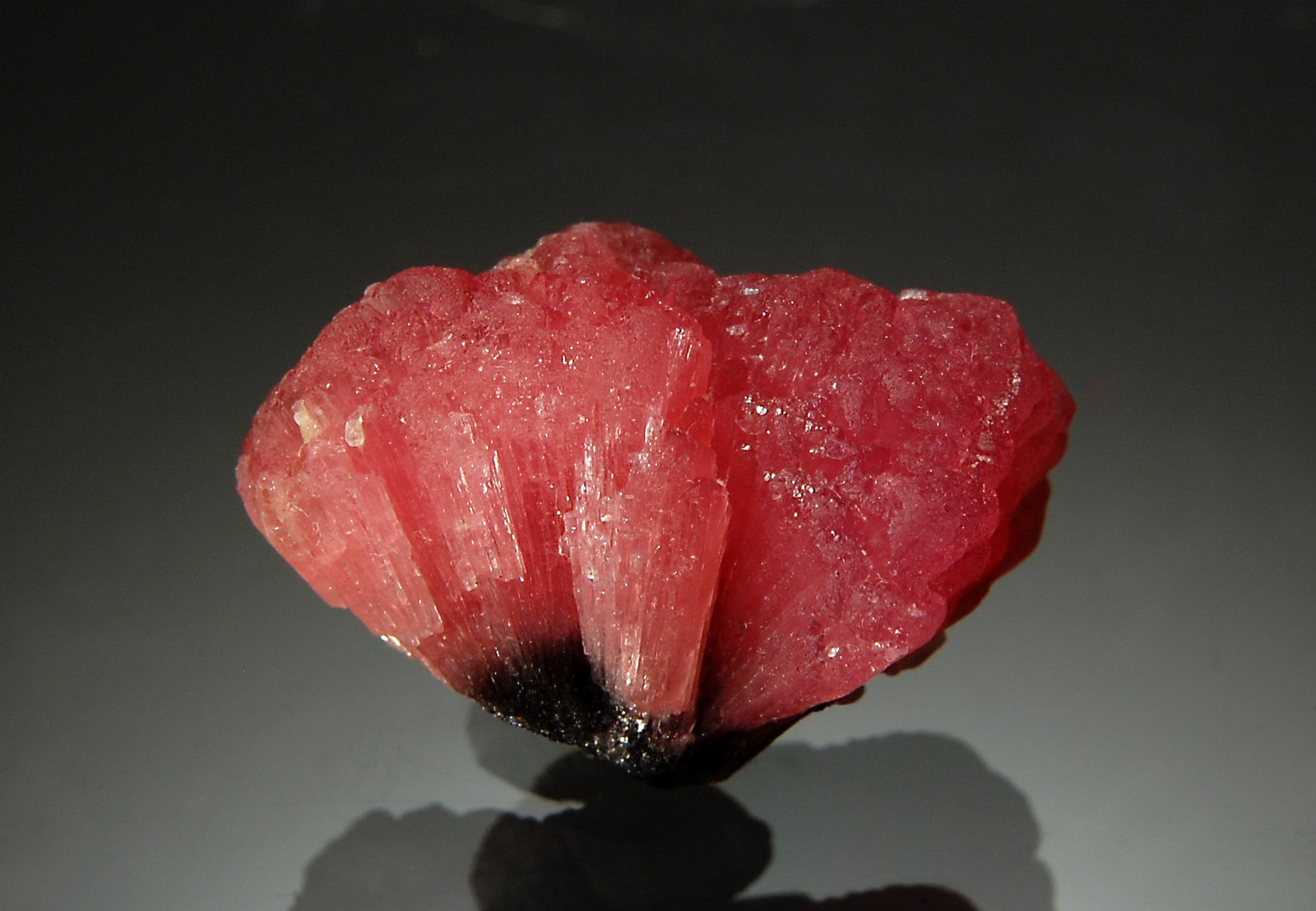 Elbaite
1.5 x 2.2 cm
(Autor: Michael Shaw)