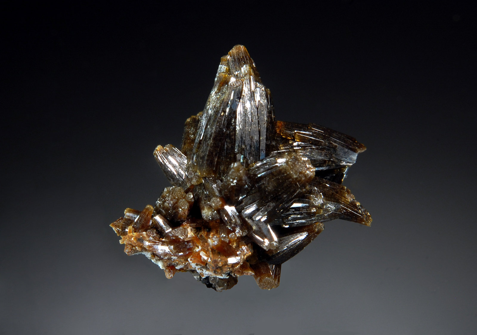 Vanadinite
1.8 x 2.0 cm
(Autor: Michael Shaw)