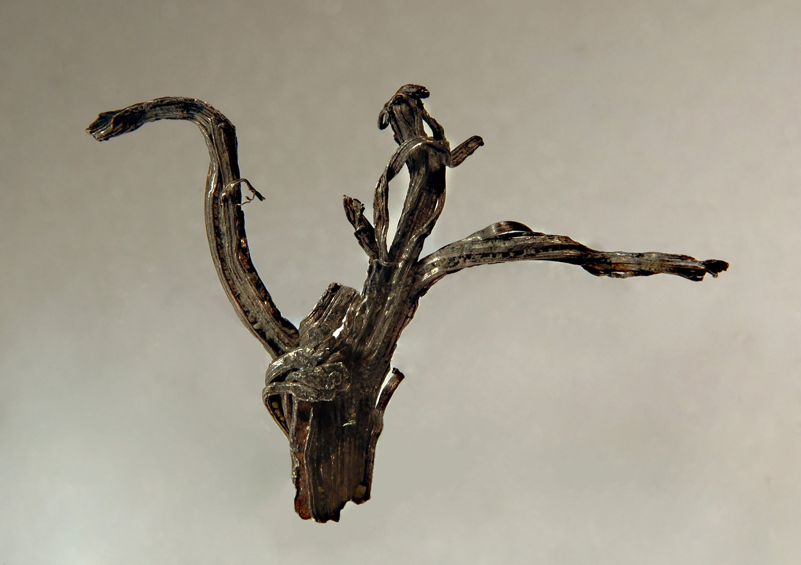 Silver
2.3 x 3.2 cm
(Autor: Michael Shaw)