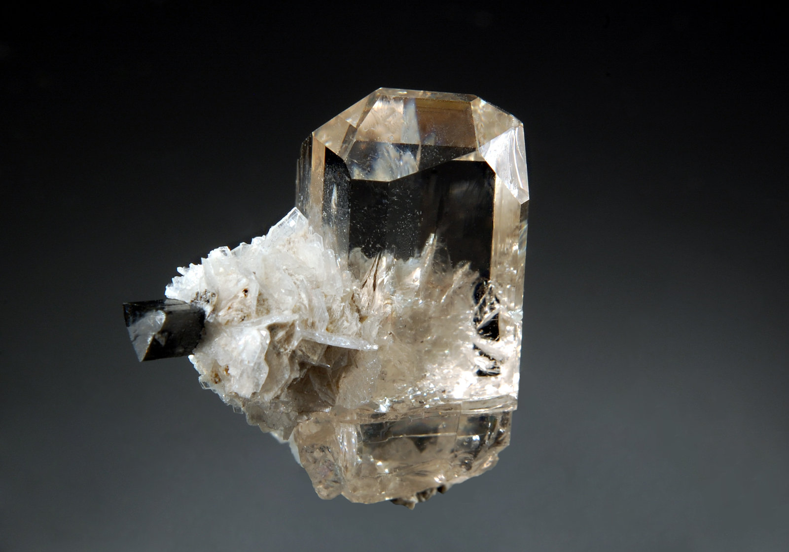 Topaz
1.9 x 2.0 cm
(Autor: Michael Shaw)