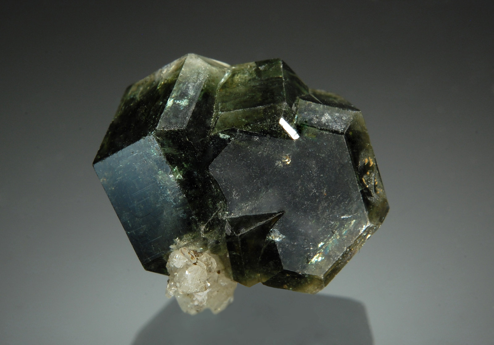 Fluorapatite
1.7 x 1.9 cm
(Autor: Michael Shaw)