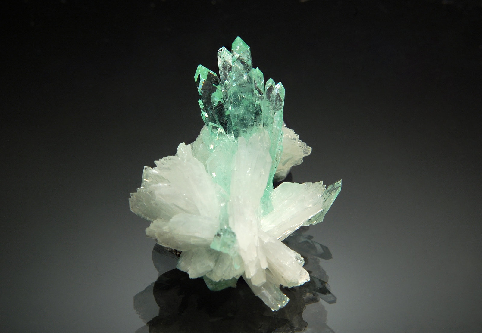 Fluorapophyllite-(K)
2.3 x 3.0 cm
(Autor: Michael Shaw)