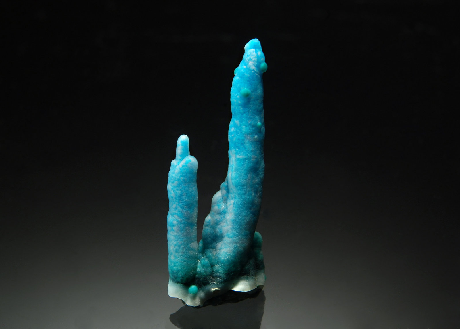 Chrysocolla
1.1 x 3.0 cm
(Autor: Michael Shaw)