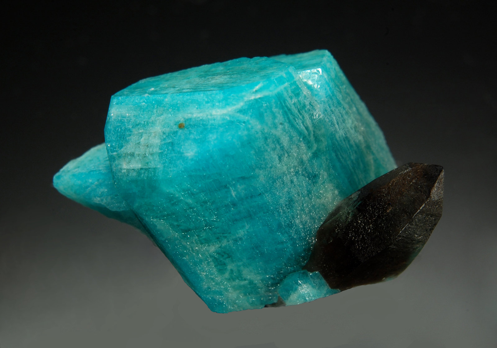 Microcline (variety amazonite)
2.0 x 2.7 cm
(Autor: Michael Shaw)