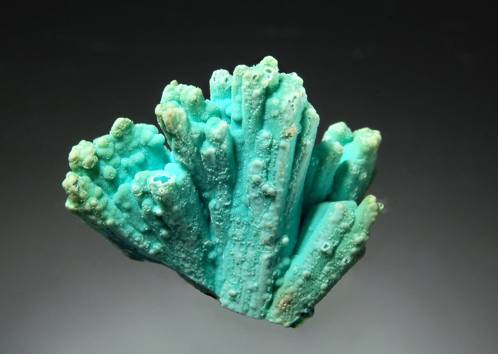 Chrysocolla
1.9 x 2.1 cm
(Autor: Michael Shaw)