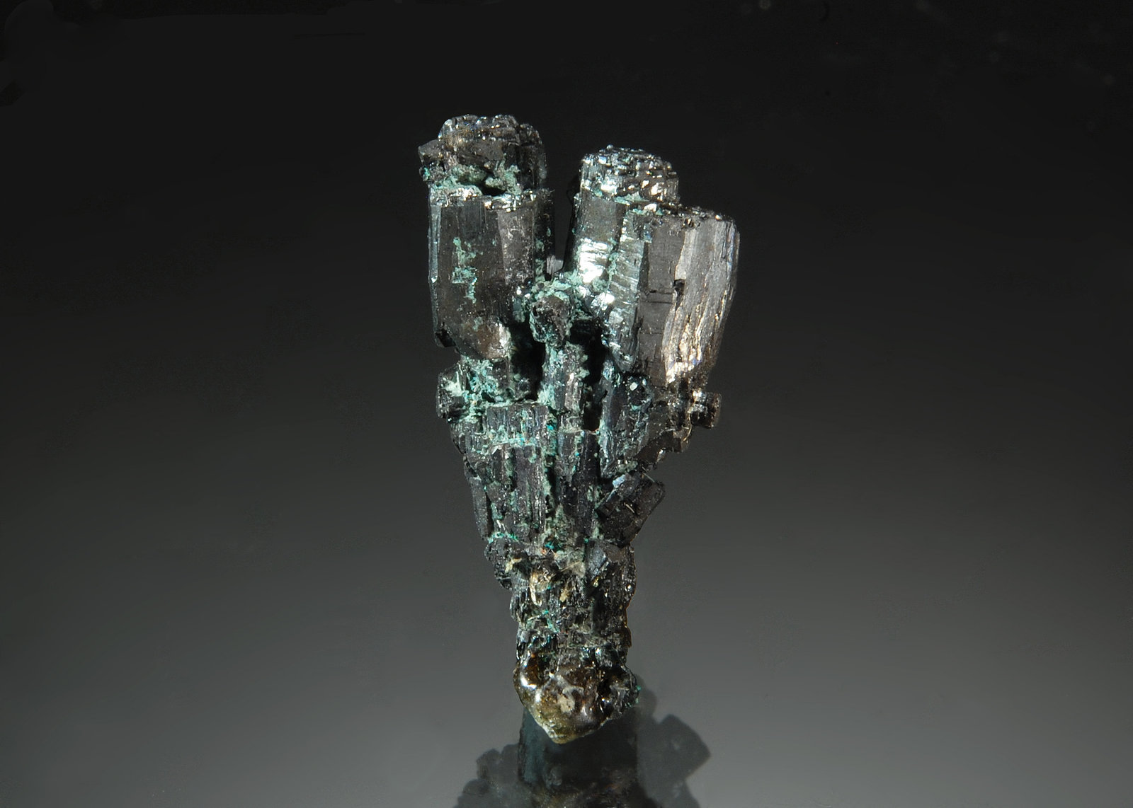 Chalcocite
0.8 x 2.0 cm
(Autor: Michael Shaw)