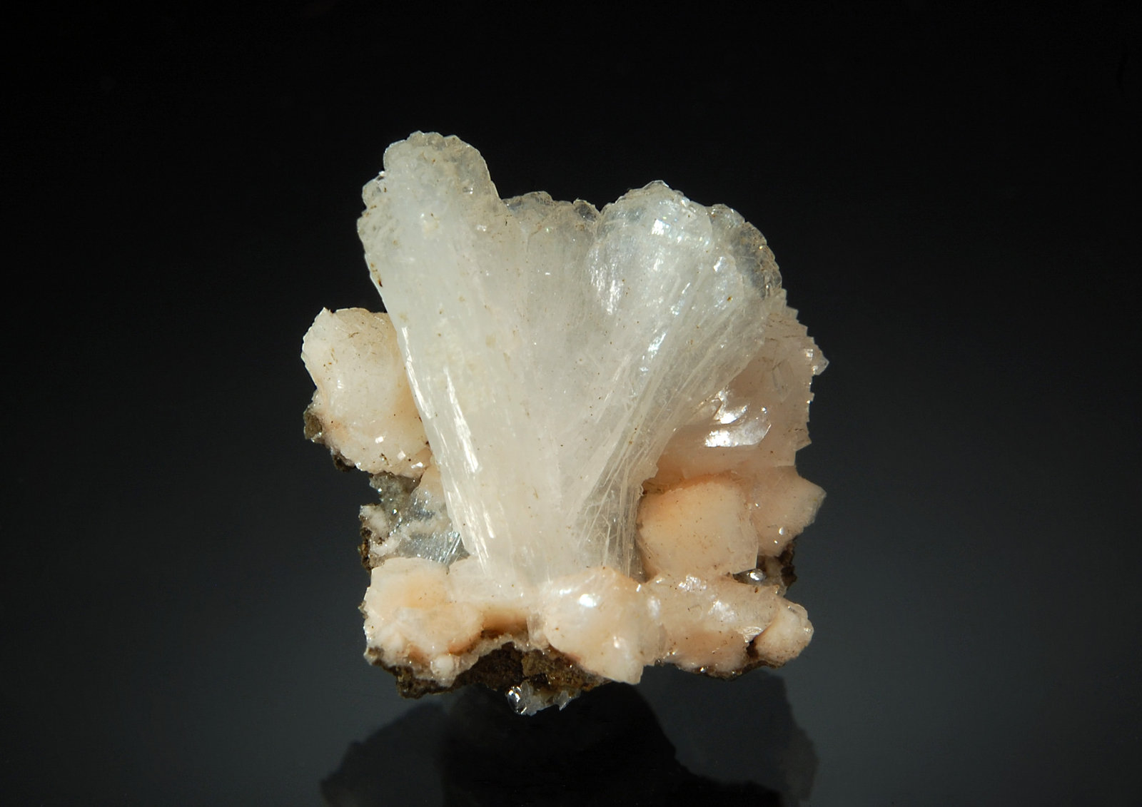 Stilbite
1.8 x 2.0 cm
(Autor: Michael Shaw)