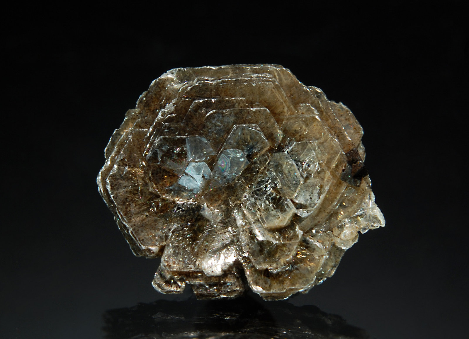 Polylithionite
1.7 x 2.0 cm
(Autor: Michael Shaw)