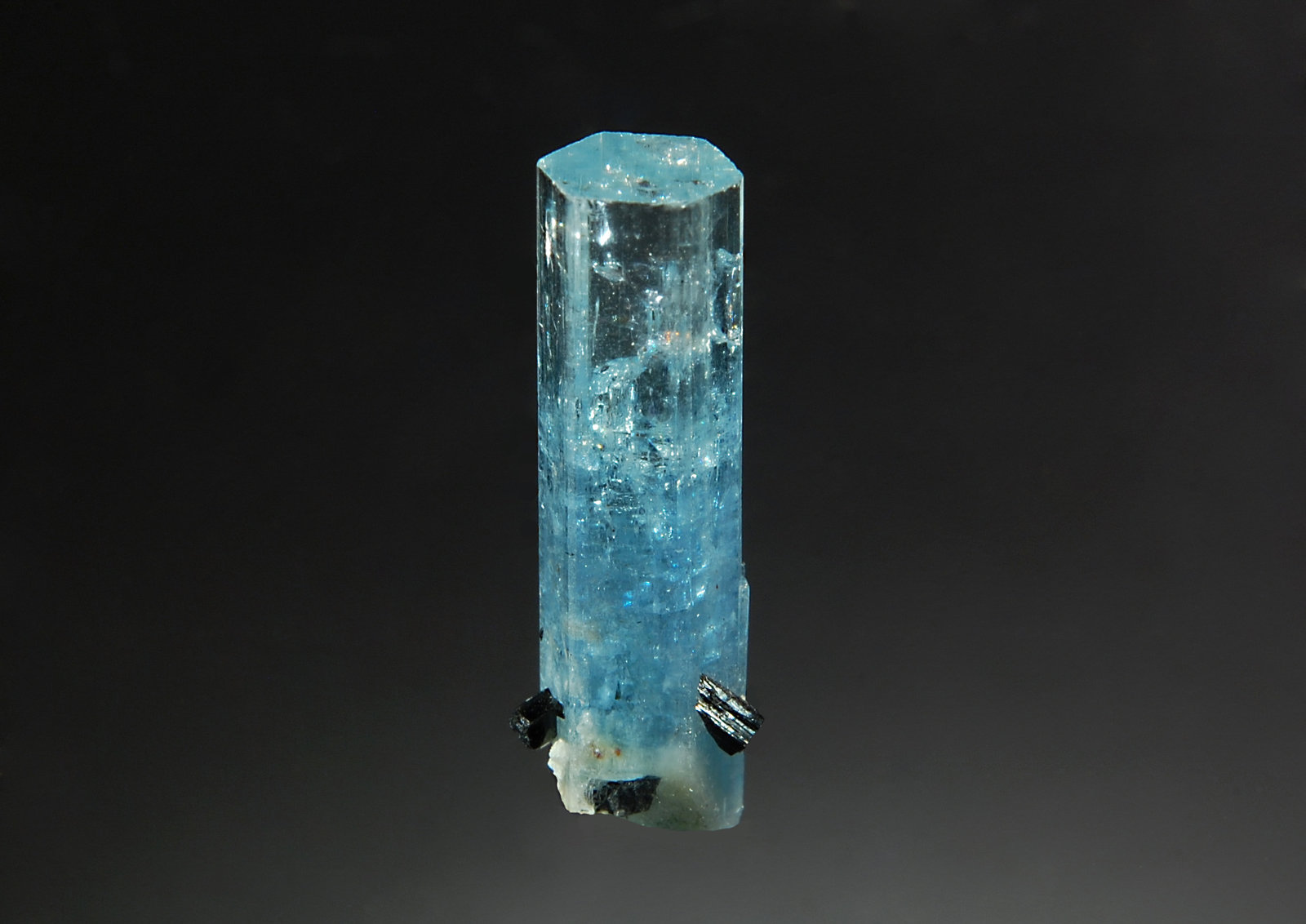 Beryl var. aquamarine
1.0 x 2.5 cm
(Autor: Michael Shaw)