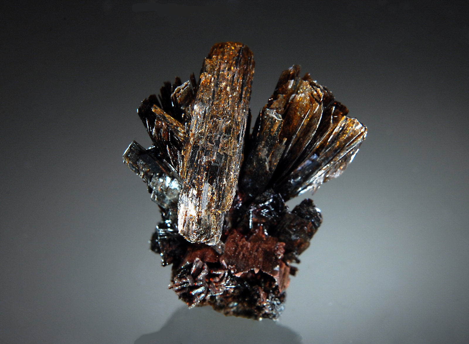 Goethite
2.4 x 2.5 cm
(Autor: Michael Shaw)