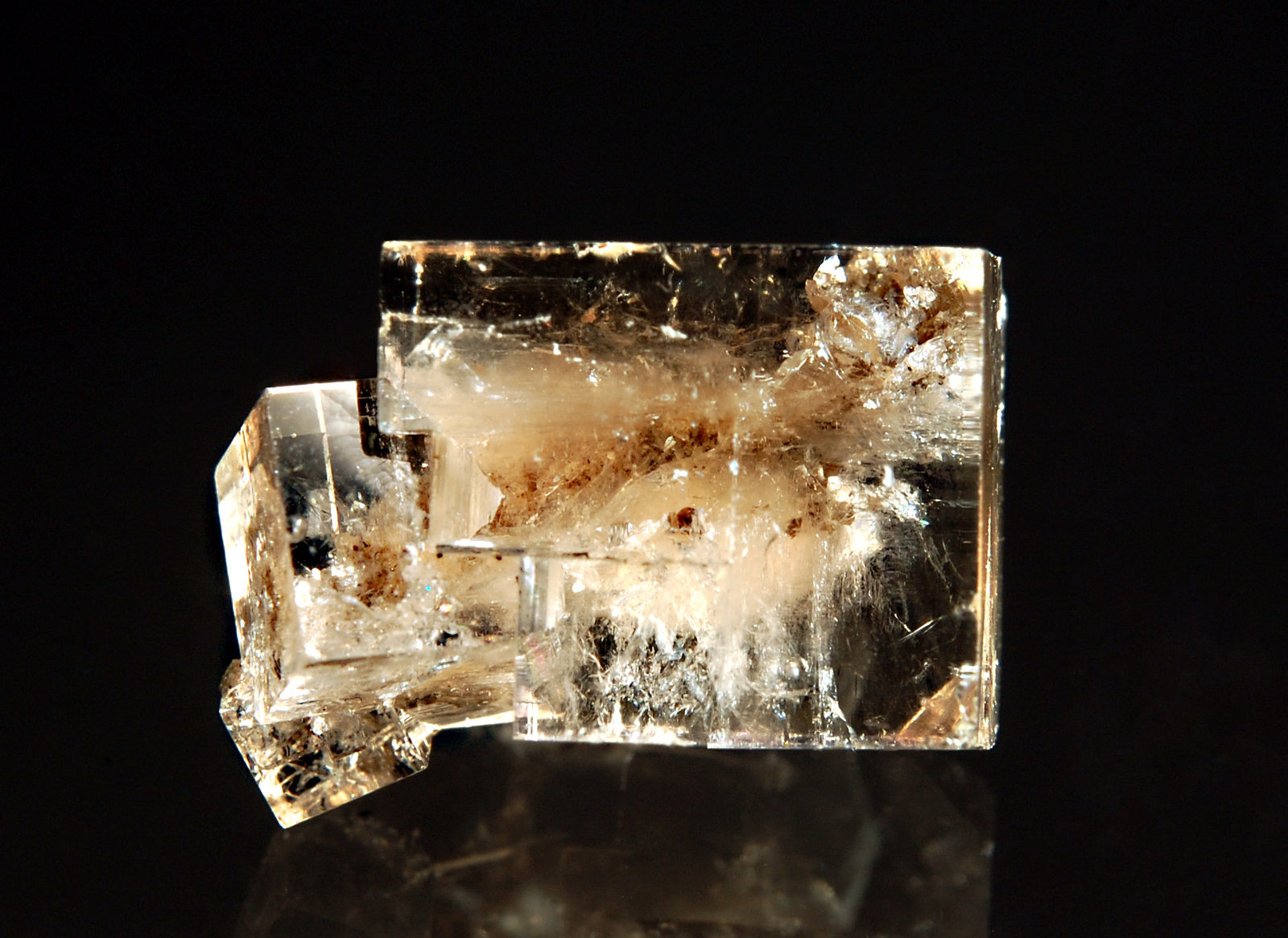 Fluorite
1.5 x 2.0 cm
(Autor: Michael Shaw)
