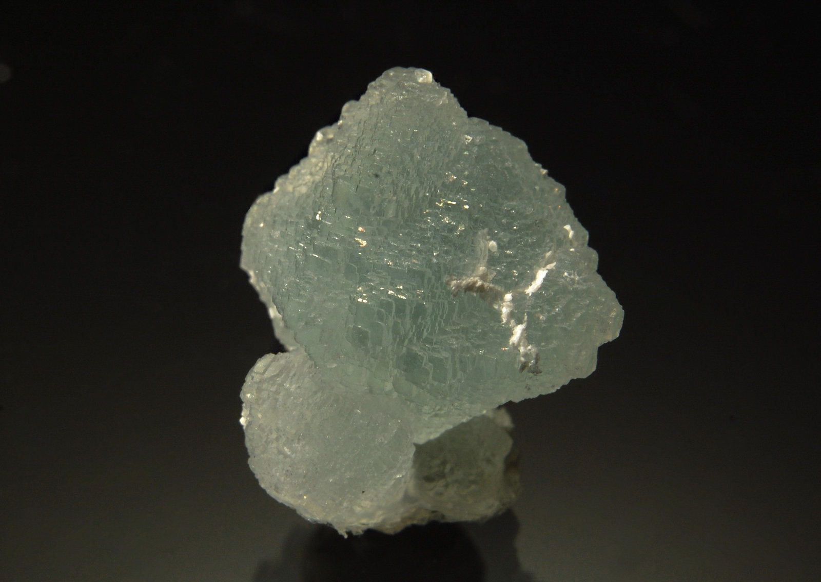 Fluorite
2.1 cm
(Autor: Michael Shaw)