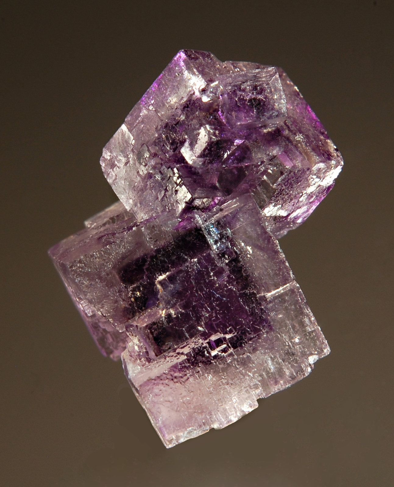 Fluorite
2.0 cm
(Autor: Michael Shaw)