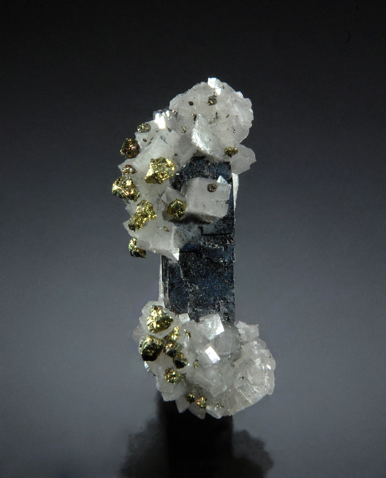 Galena, Dolomite, Chalcopyrite
0.9 cm x 2.2 cm
(Autor: Michael Shaw)