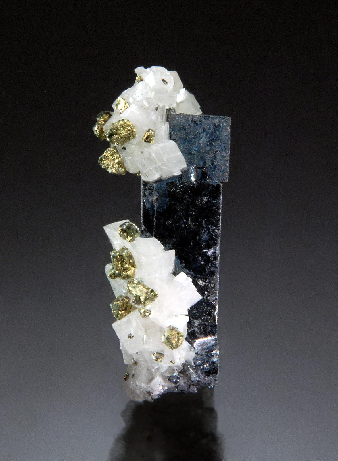 Galena, Dolomite, Chalcopyrite
0.9 cm x 2.2 cm
(Autor: Michael Shaw)