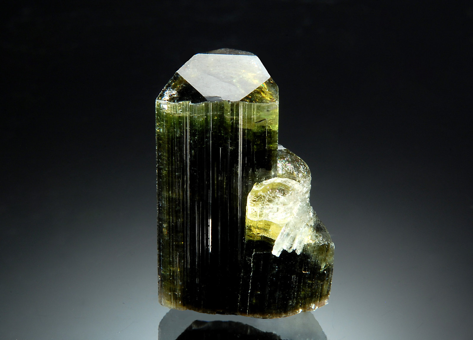 Elbaite
1.8 x 2.5 cm
(Autor: Michael Shaw)