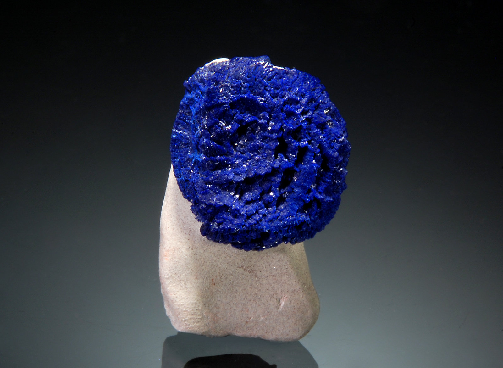 Azurite
1.5 x 2.5 cm
(Autor: Michael Shaw)