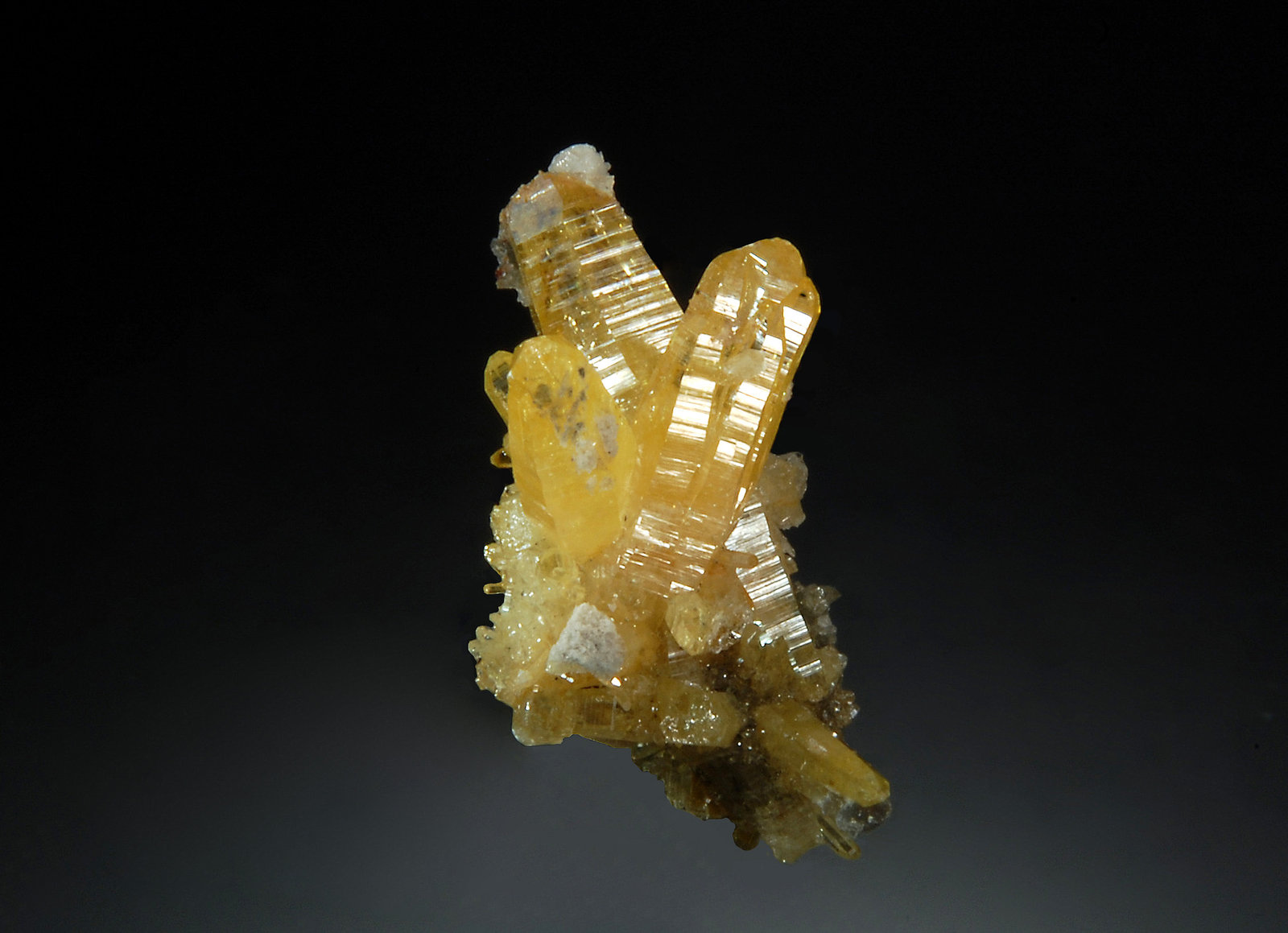 Mimetite
1.5 x 2.3 cm
(Autor: Michael Shaw)