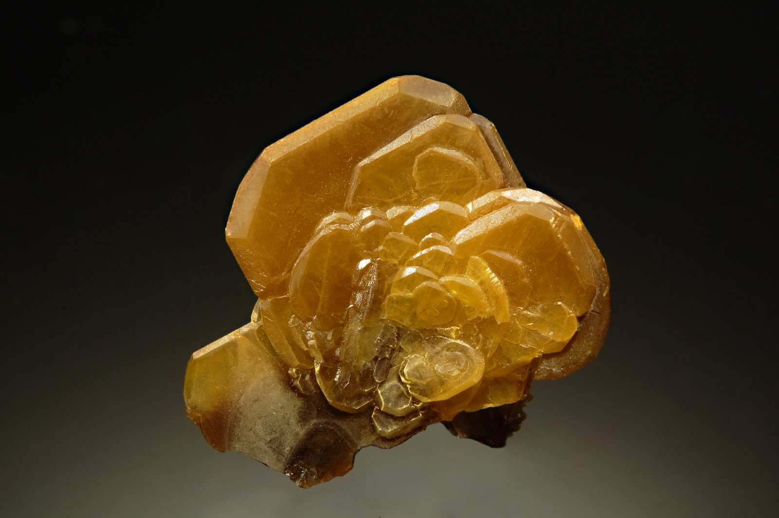 Wulfenite
2.0 cm
(Autor: Michael Shaw)