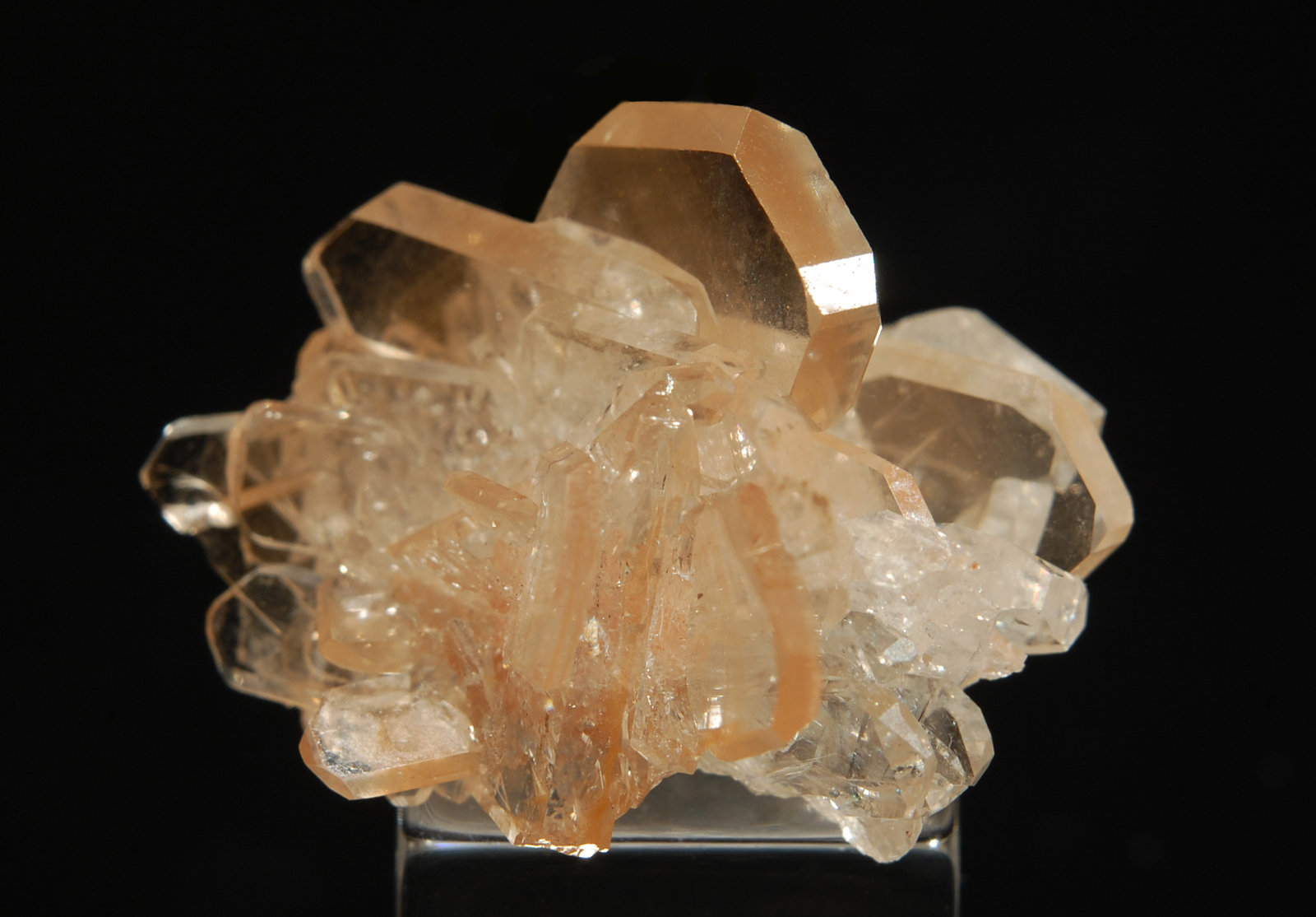 Barite
1.9 x 2.4 cm
(Autor: Michael Shaw)