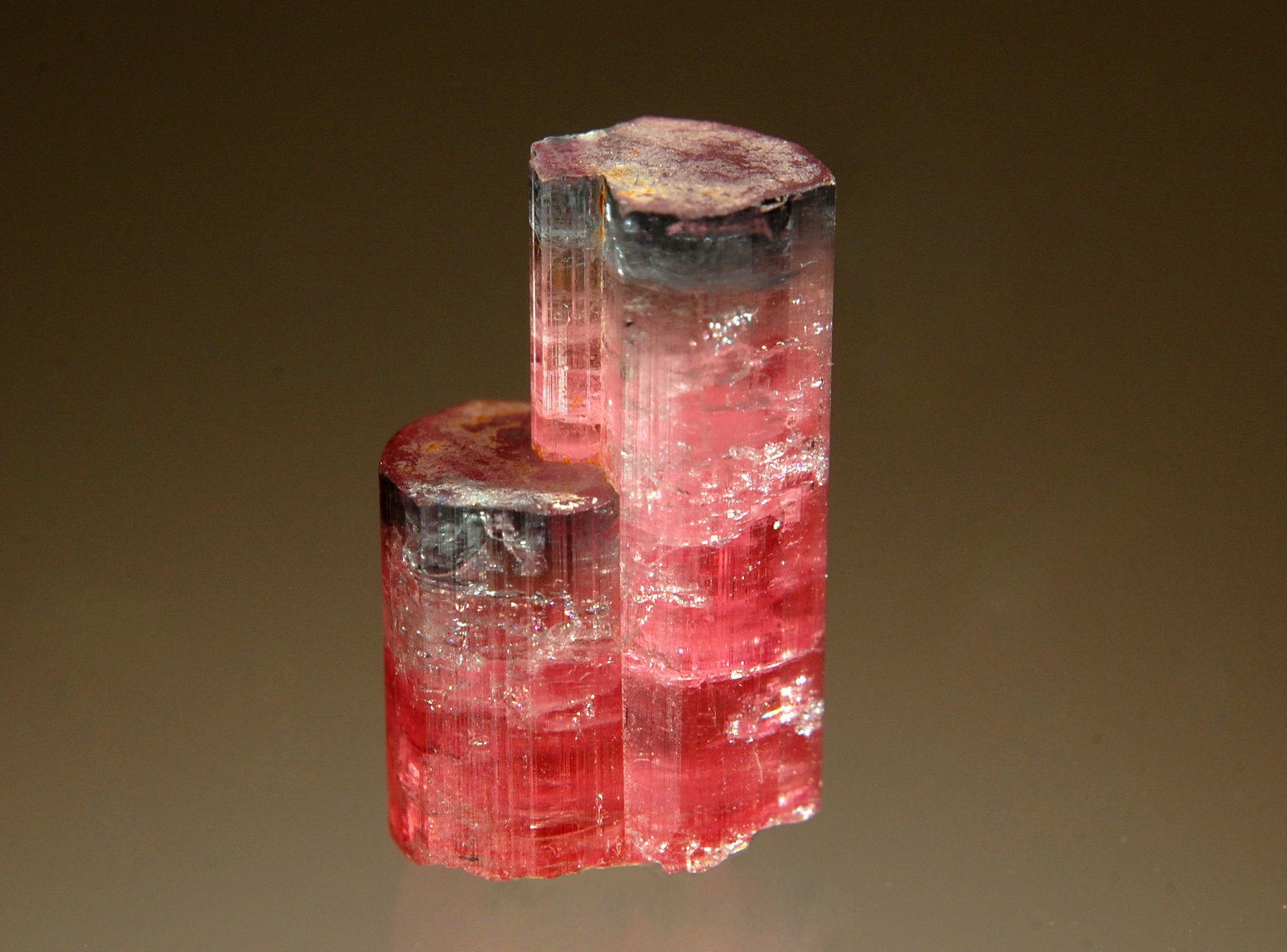 Elbaite (Tourmaline Group)
1.2 x 2.2 cm
(Autor: Michael Shaw)