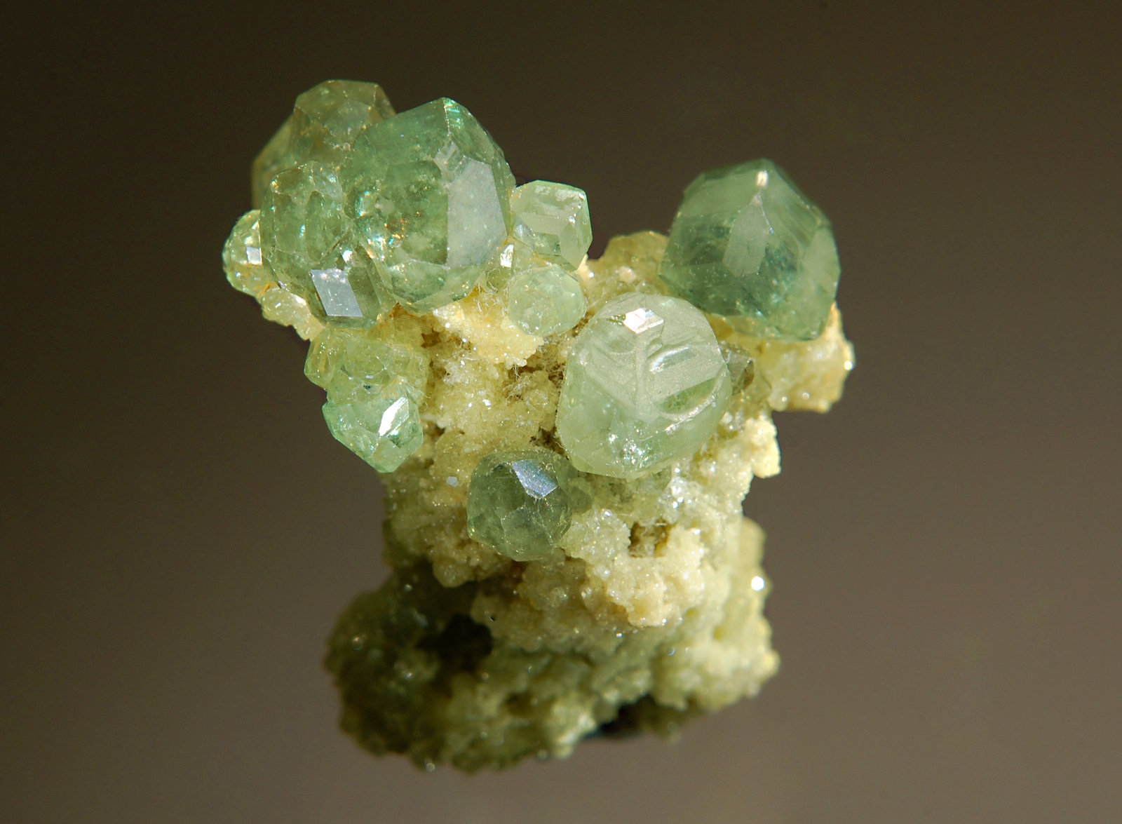 Andradite var. demantoid
2.1 x 2.7 cm
(Autor: Michael Shaw)