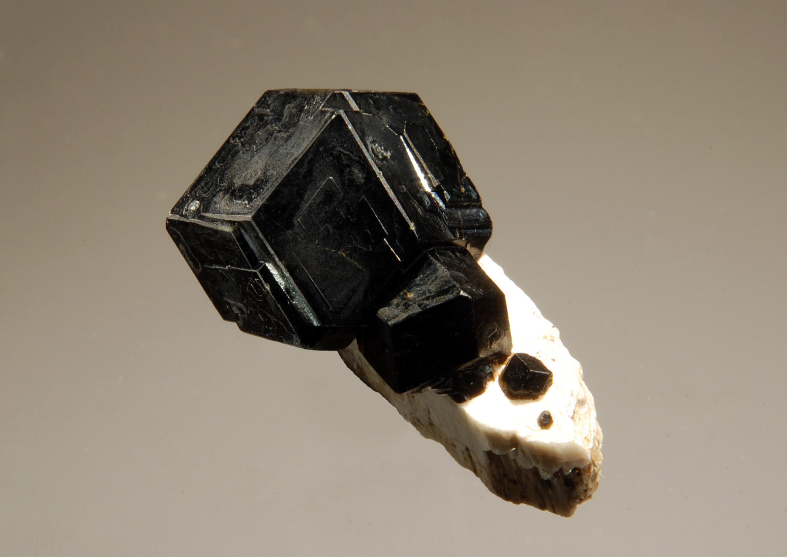 Andradite
1.8 x 2.7 cm
(Autor: Michael Shaw)