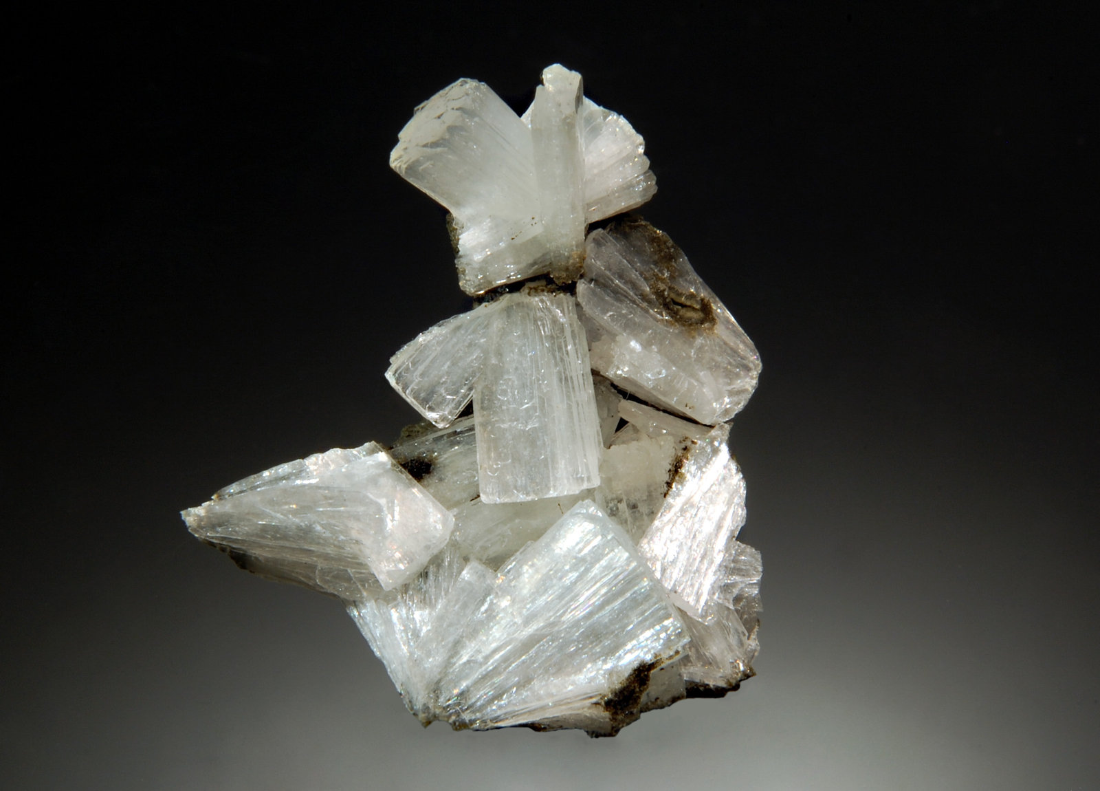 Stilbite
2.7 x 2.9 cm
(Autor: Michael Shaw)