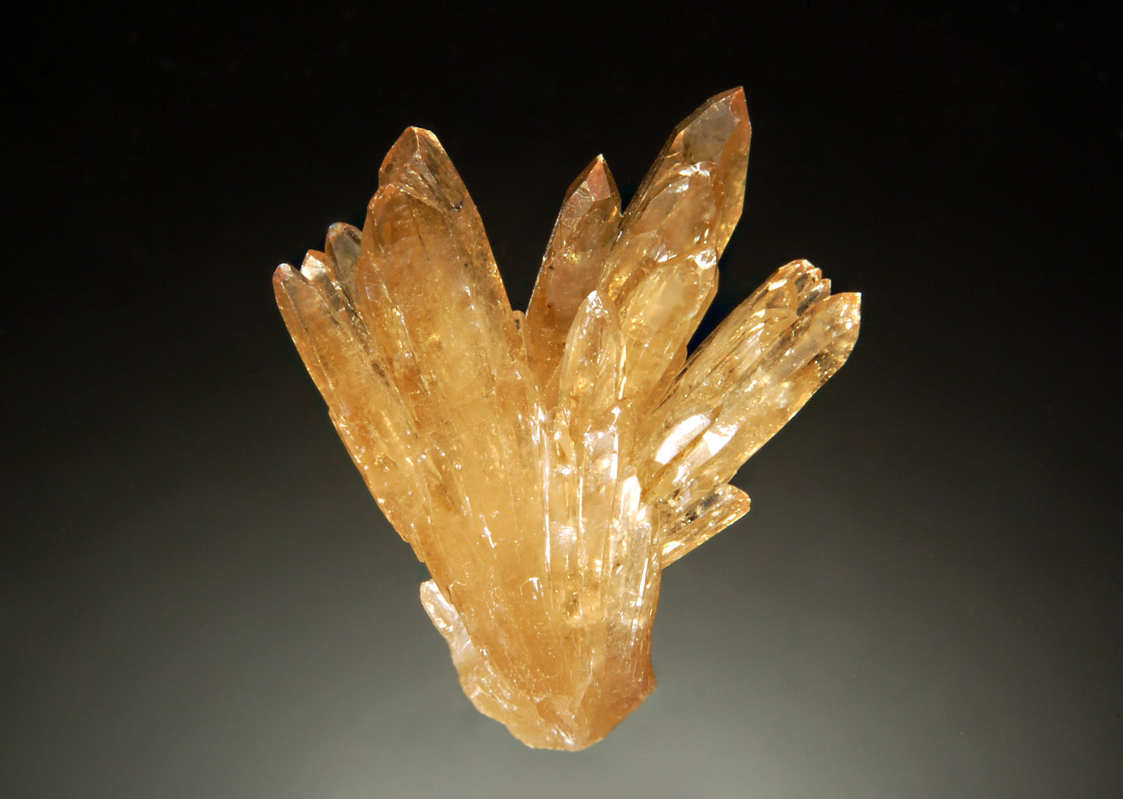 Barite
2.5 x 2.8 cm.
(Autor: Michael Shaw)