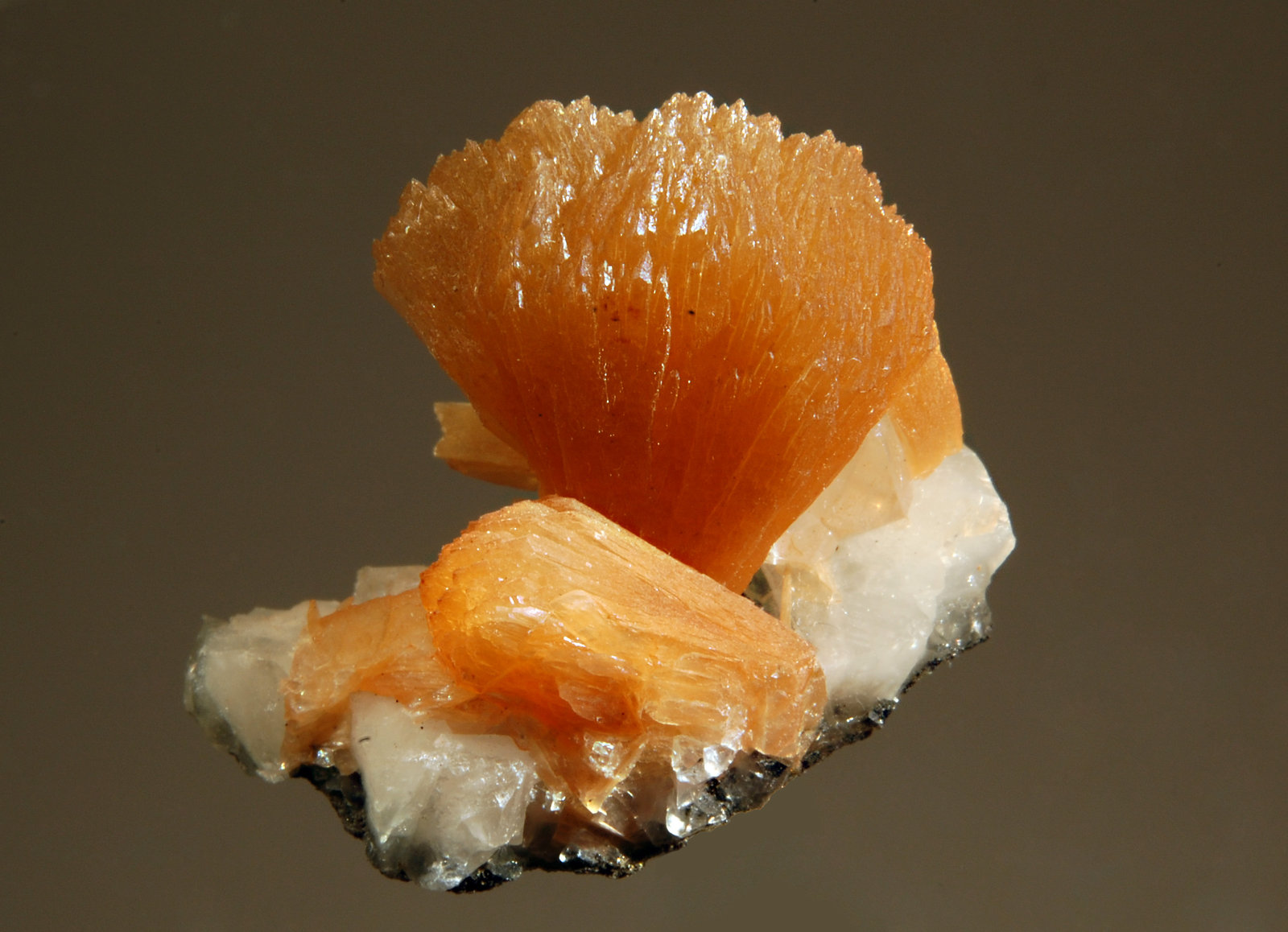 Stilbite
2.1 x 2.5 cm
(Autor: Michael Shaw)