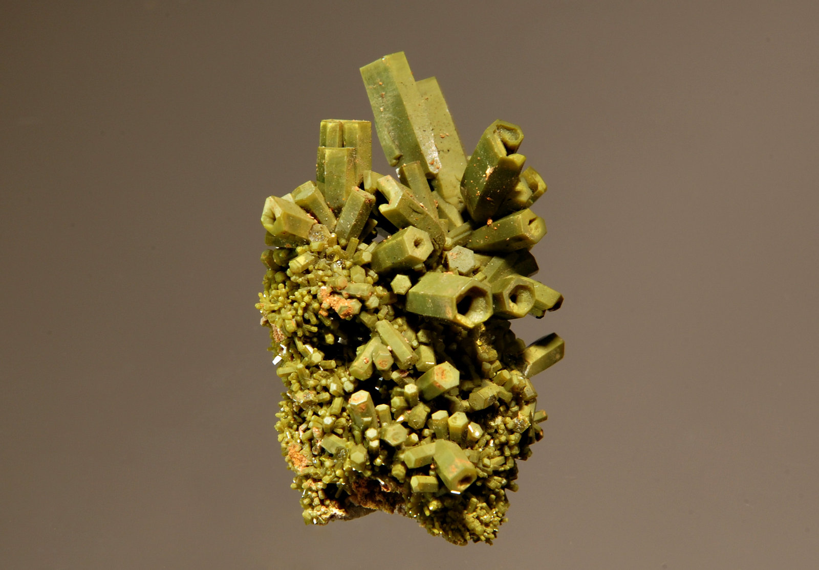Pyromorphite
1.5 x 2.7 cm
(Autor: Michael Shaw)
