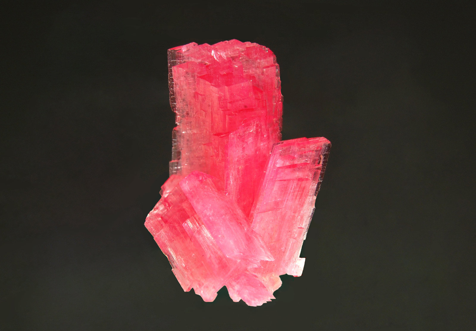 Rhodonite
2.0 x 2.5 cm
(Autor: Michael Shaw)