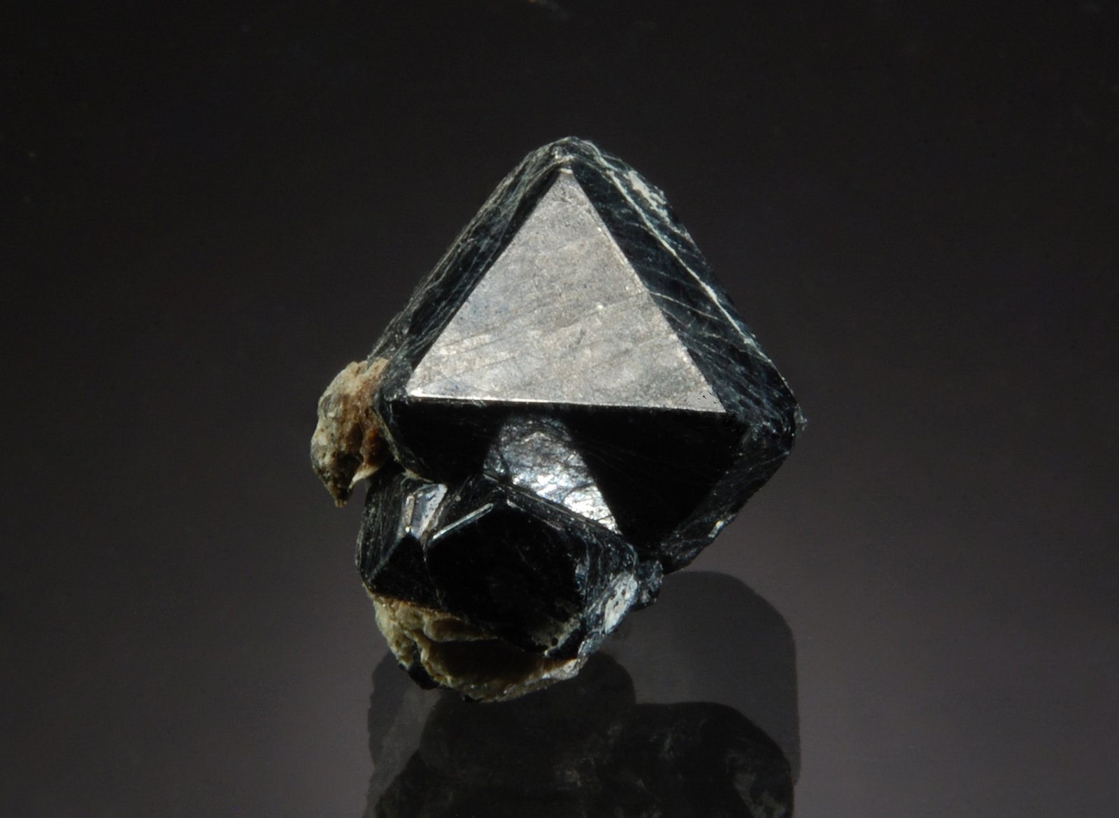 Spinel
1.5 x 1.9 cm
(Autor: Michael Shaw)
