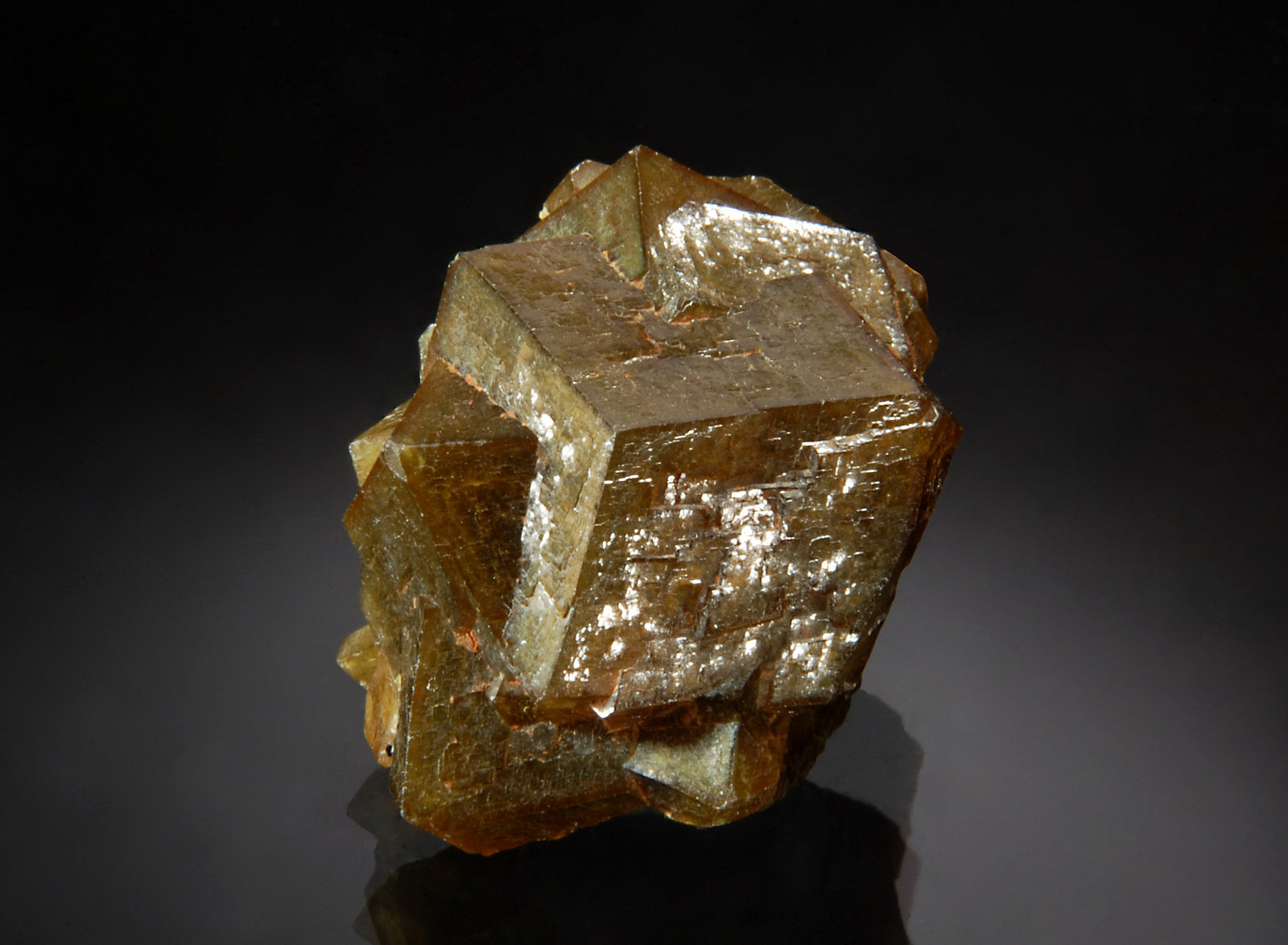 Andradite
2.7 x 2.5 cm
(Autor: Michael Shaw)