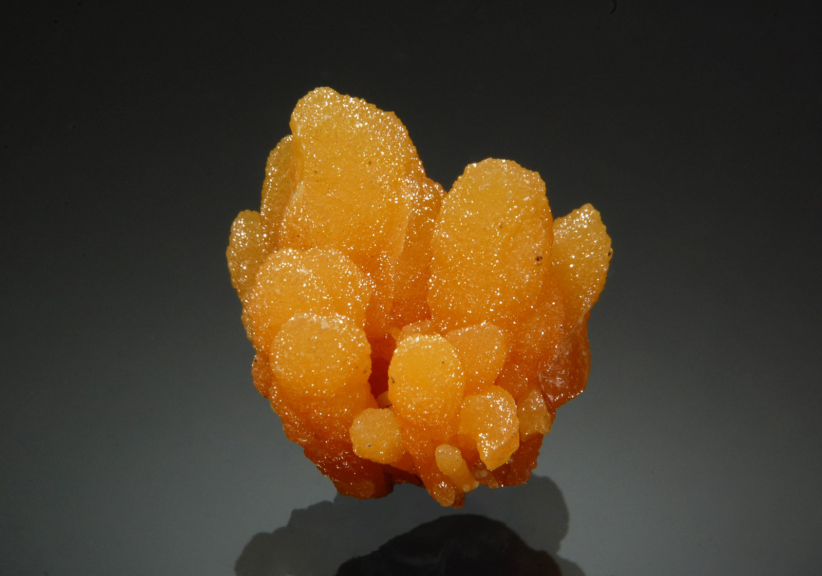 Mimetite
1.7 x 2.4 cm
(Autor: Michael Shaw)